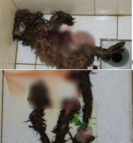 Theo thông tin trên trang cá nhân của sg00ll..., thì thành viên này sống tại huyện Songjian, Thượng Hải, đã tốt nghiệp trường Cao đẳng Y tế Bắc Kinh.