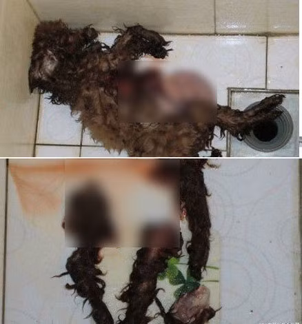 Theo thông tin trên trang cá nhân của sg00ll..., thì thành viên này sống tại huyện Songjian, Thượng Hải, đã tốt nghiệp trường Cao đẳng Y tế Bắc Kinh.