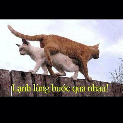 Lạnh lùng bước qua nhau.