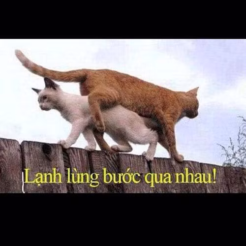 Lạnh lùng bước qua nhau.