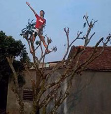 Khung trời tự do.