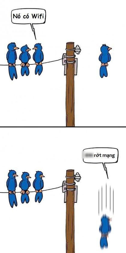 Rớt mạng.
