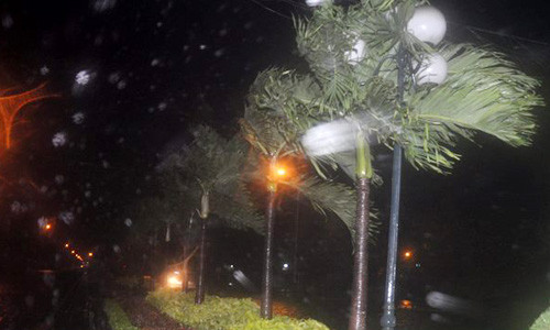 Gió giật mạnh cấp 9 ở Quy Nhơn. Ảnh: Vnexpress