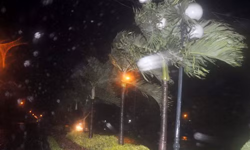 Gió giật mạnh cấp 9 ở Quy Nhơn. Ảnh: Vnexpress