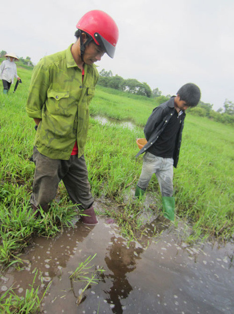 Những người này vừa khoắng động mặt nước, chờ đỉa ngoi lên để dùng rổ nhựa xúc bắt.