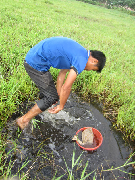 Nhiều người đi bắt đỉa ở Hà Nội với đôi chân trần và dụng cụ chỉ cần 1 chiếc rổ nhựa để hớt, 1 chiếc túi để đựng.