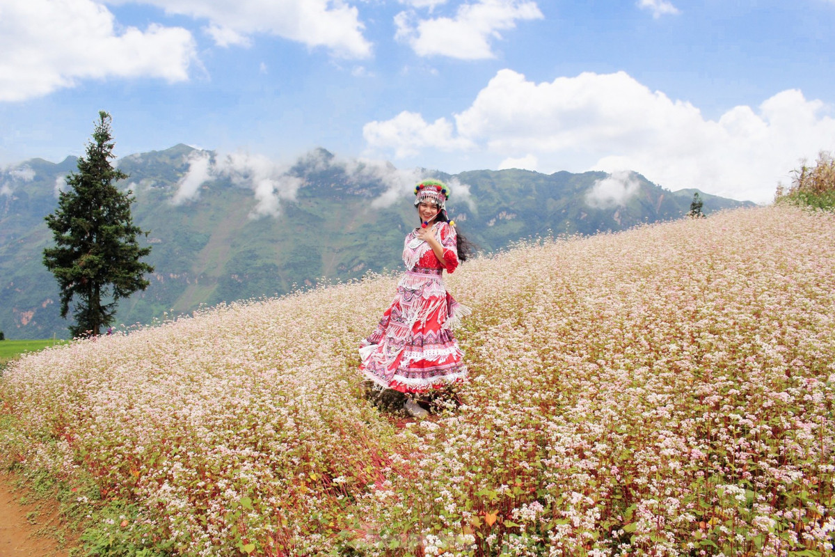 Có diện tích hơn 90 ha, nằm ở độ cao hơn 1.200 m so với mực nước biển, mang vẻ đẹp hoang sơ mà hùng vĩ của vùng đất địa đầu Tổ quốc.