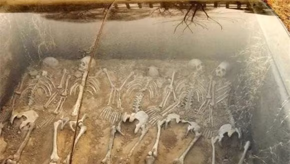 Ly do chan cua phi tan chon trong mo co bi tach ra-Hinh-4