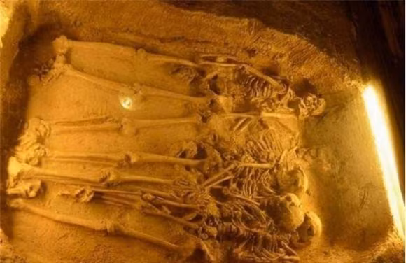 Ly do chan cua phi tan chon trong mo co bi tach ra-Hinh-3