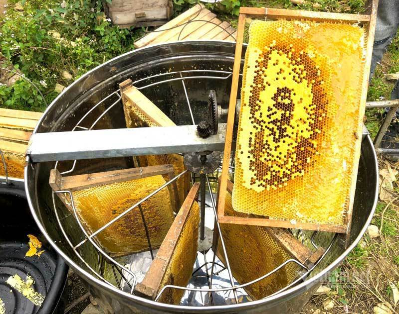 Dac san cao nguyen da: Mat ong bac ha xin, tien trieu van kho mua-Hinh-7