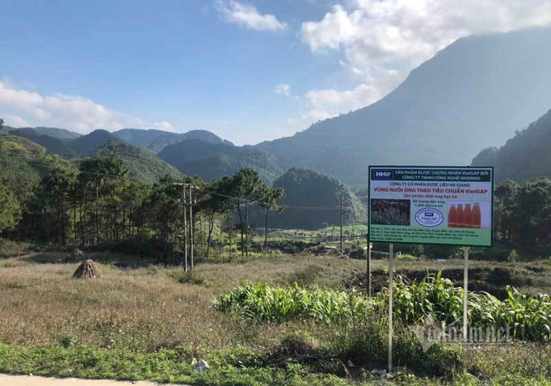 Dac san cao nguyen da: Mat ong bac ha xin, tien trieu van kho mua-Hinh-5