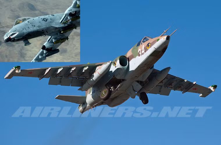 So sánh với “sát thủ diệt tăng” A-10 (góc phải, trên cùng ảnh) của Mỹ, Su-25 được đánh giá là có kích thước nhỏ hơn, nhẹ hơn, mang ít vũ khí hơn nhưng lại vượt trội về tính cơ động. Lý giải cho vấn đề này, theo trang Enemy Forces thì các nhà thiết kế Mỹ thường quan tâm nhiều tới việc đảm bảo khả năng sống sót cho máy bay trong chiến đấu, trong khi Liên Xô quan tâm tới tính cơ động.