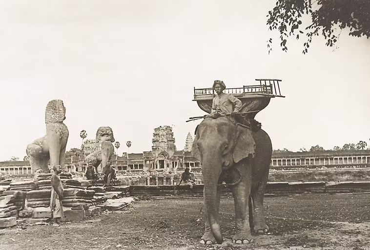Một con voi ở Angkor Wat, 1919-1926.