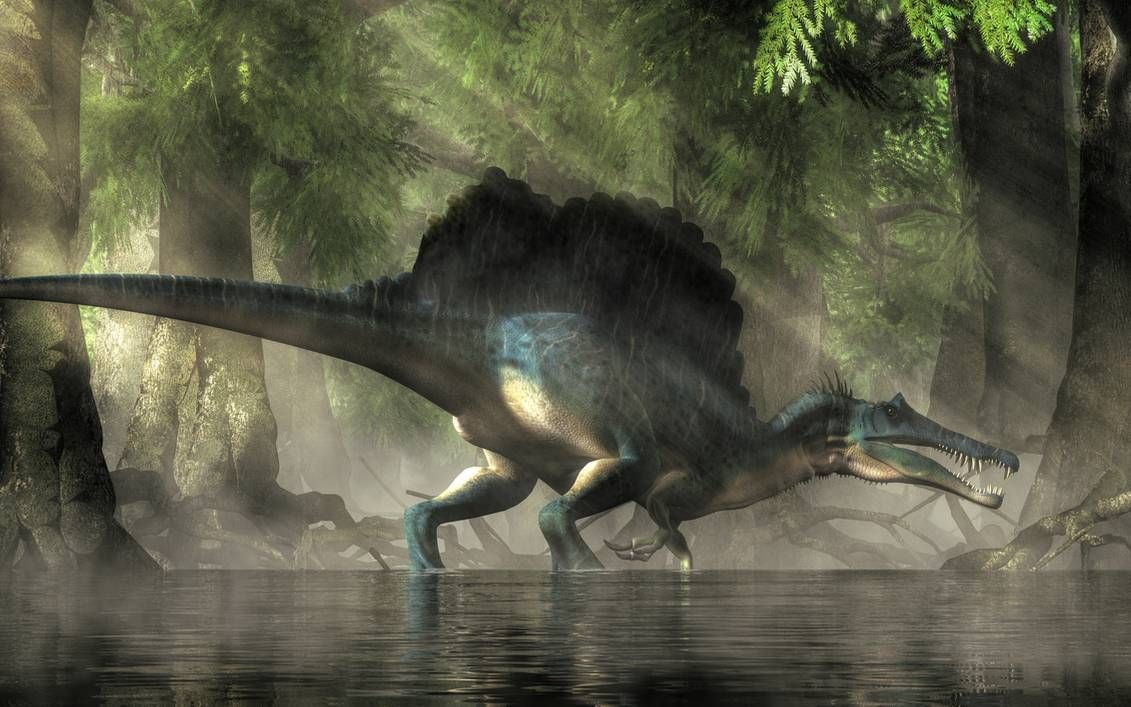 Cụ thể, khi trời quá nóng, những con Spinosaurus sẽ di chuyển vào nơi có bóng râm, bơm máu nóng lên phần da của chiếc diềm đầy mạch máu. Lượng máu này sẽ được làm mát trước khi trở lại cơ thể.