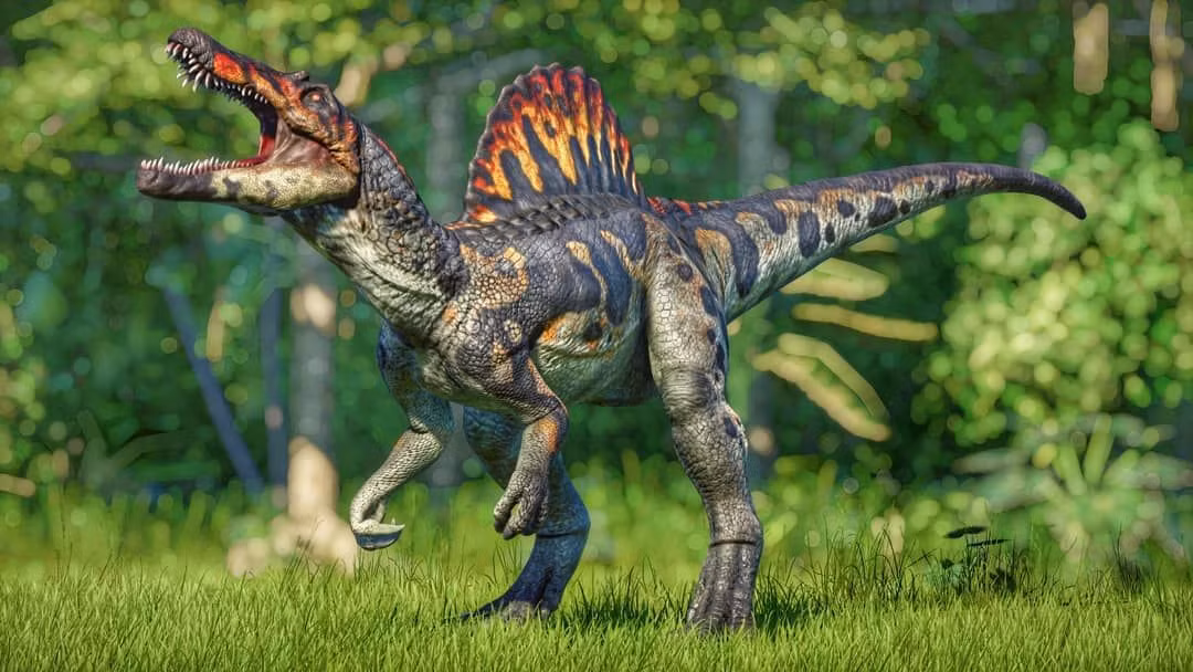 Chiếc diềm có hoa văn nổi bật.