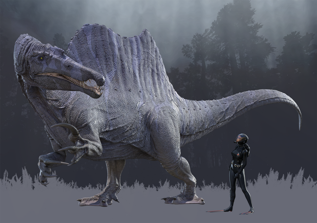 Trong ngôn ngữ cổ Hy Lạp – La Tinh, tên gọi Spinosaurus có nghĩa là thằn lằn diềm. Cái tên này bắt nguồn từ cấu trúc diềm đặc trưng trên lưng khủng long Spinosaurus.