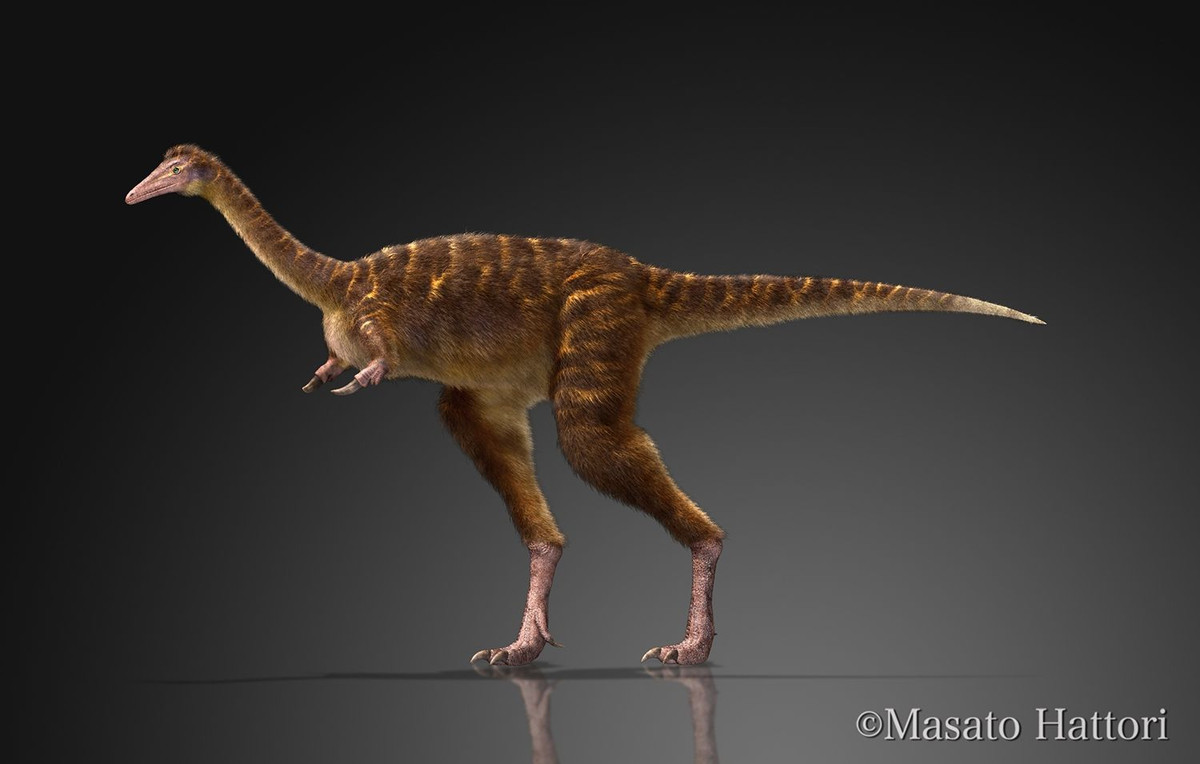 Cánh tay của loài này hướng ra hai bên và quá ngắn đến nỗi cái móng không thể chạm tới miệng.