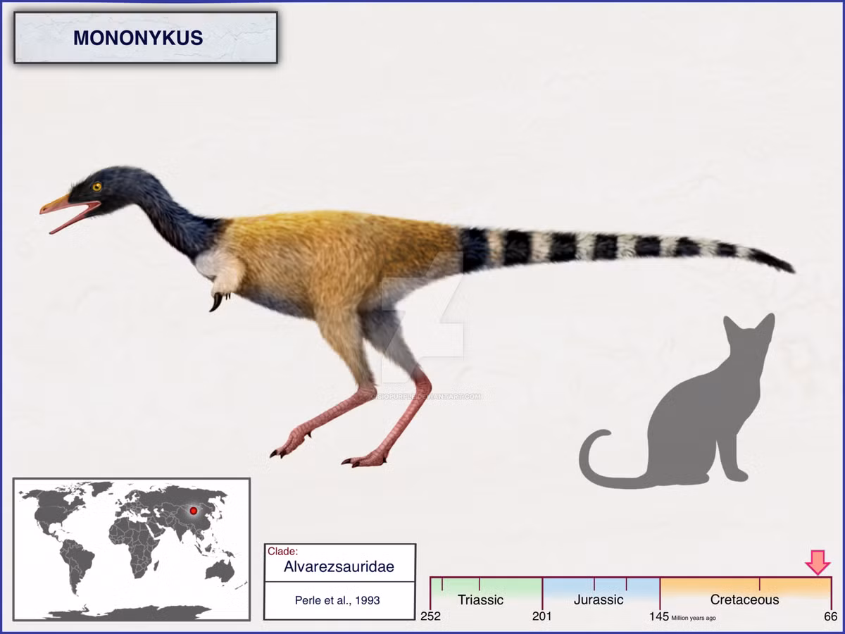 Hóa thạch đầu tiên của khủng long Mononykus được phát hiện lần đầu tiên ở Mông Cổ năm 1993. Đây là một loài khủng long nhỏ, chỉ dài khoảng 1 mét.