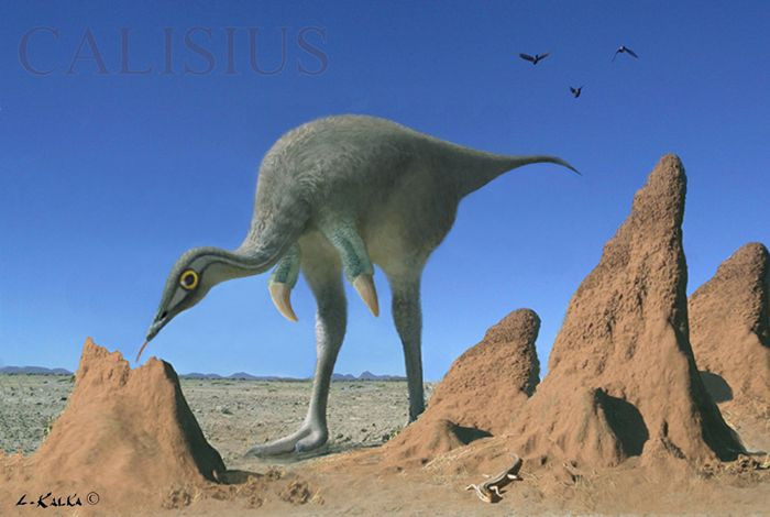 Những chiếc răng nhỏ không có cạnh sắc của Mononykus là yếu tố góp phần chứng minh cho giả thuyết này.