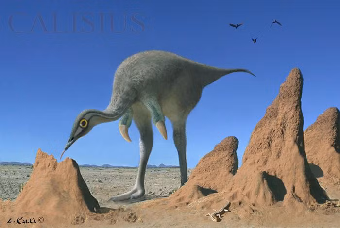 Những chiếc răng nhỏ không có cạnh sắc của Mononykus là yếu tố góp phần chứng minh cho giả thuyết này.