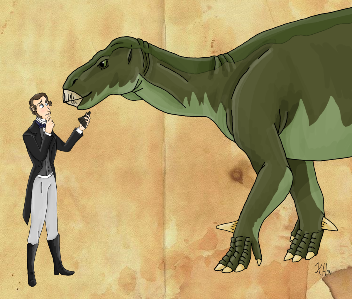 Khi quan sát những chiếc răng mà vợ mình phát hiện, Gideon Mantell cho rằng chúng thuộc về một loài bò sát đã tuyệt chủng và đặt tên loài này là Iguanodon vào năm 1825. Các nhà khoa học thời đó lại cho rằng chúng là răng tê giác.