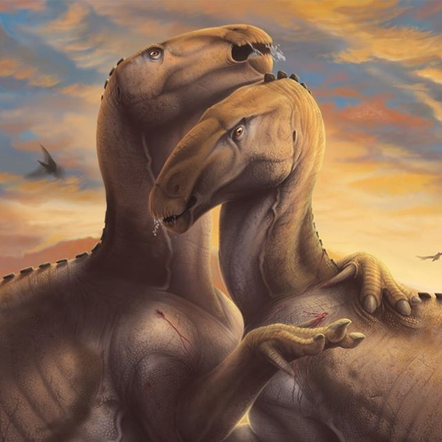 Ngón cái sắc nhọn của khủng long Iguanodon.