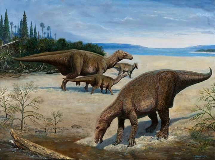 Vào năm 1989, một tiểu hành tinh đã được đặt tên là Iguanodon để tôn vinh loài khủng long này.
