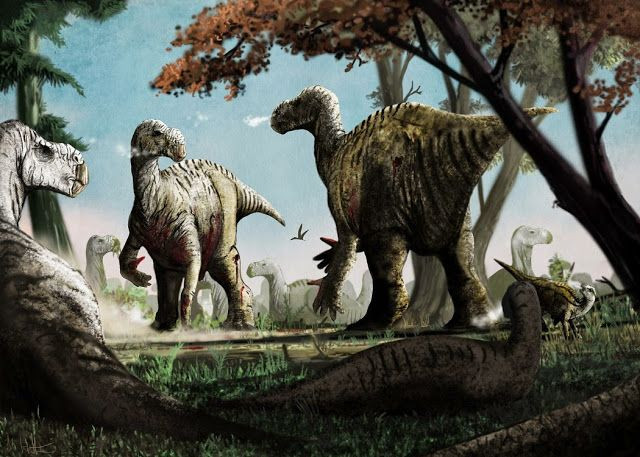 Phải đến cuối thế kỷ 20, con người mới có thể phục dụng hình ảnh tương đối chính xác về khủng long Iguanodon. Theo đó, loài khủng long này dài 10 mét, là một loài khủng long ăn thực vật có thể đứng bằng hai chân, sống vào đầu kỷ Phấn Trắng.