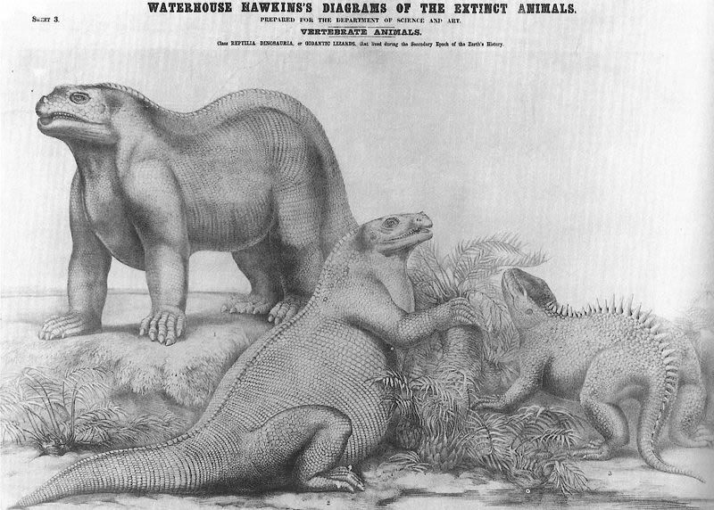 Trong những thập niên sau đó, rất nhiều mẫu xương của Iguanodon đã được phát hiện, và diện mạo loài khủng long này dần dần được định hình. Rất nhiều ý tưởng về ngoại hình khủng long Iguanodon đã được các nhà khoa học phác thảo, thu hút sự quan tâm to lớn của công chúng Âu – Mỹ.