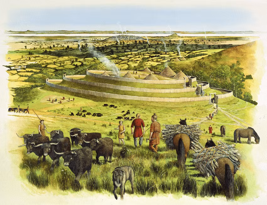 Họ còn dùng rìu đá kết hợp với việc đốt lửa để phát quang rừng lấy đất trồng trọt và quây gia súc trong khu vực nuôi chuyên biệt.