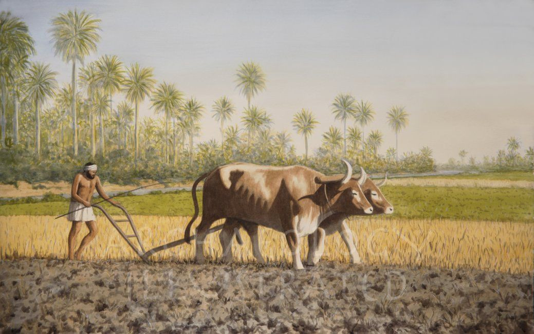 Đến lúc này, diện mạo của nền nông nghiệp đã định hình một cách hoàn chỉnh và sẽ không thay đổi nhiều trong nhiều thế kỷ tiếp theo.