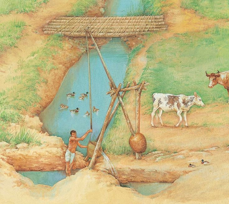 Từ năm 5.000 TCN, những kỹ thuật nông nghiệp phức tạp như thủy lợi và độc canh trên quy lớn đã được áp dụng tại Sumer.