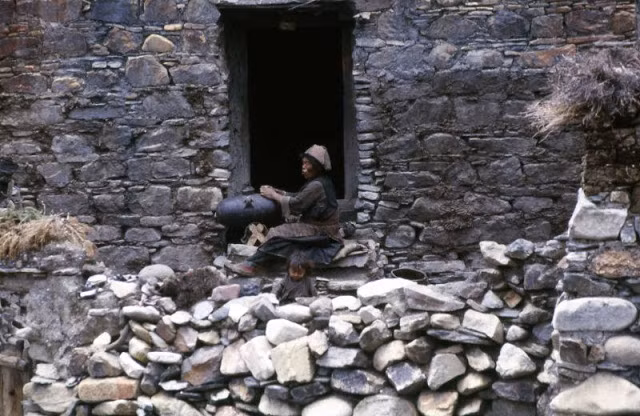 Người phụ nữ Tây Tạng khuấy sữa bò yak để làm bơ bên cửa nhà.