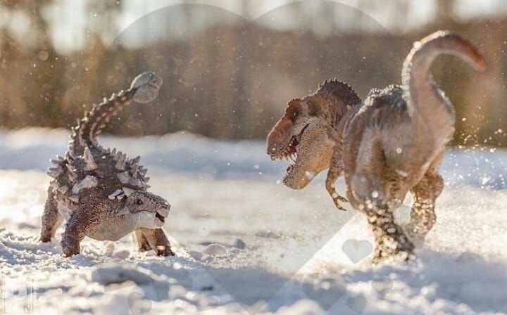 Để xơi được Ankylosaurus, khủng long ăn thịt cần phải lật ngửa được nó và tấn công vào mặt dưới cổ và bụng không bọc giáp.