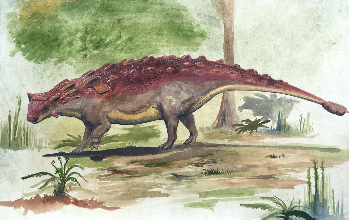 Theo đó, Ankylosaurus là một loài khủng long ăn cỏ có chiều dài khoảng 10 mét khi trưởng thành, sinh sống ở cuối kỷ Phấn Trắng tại khu vực ngày nay là Bắc Mỹ.