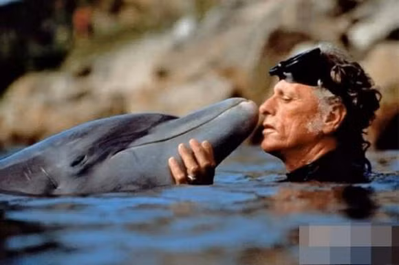 Tai sao ca heo lai cuu nguoi?