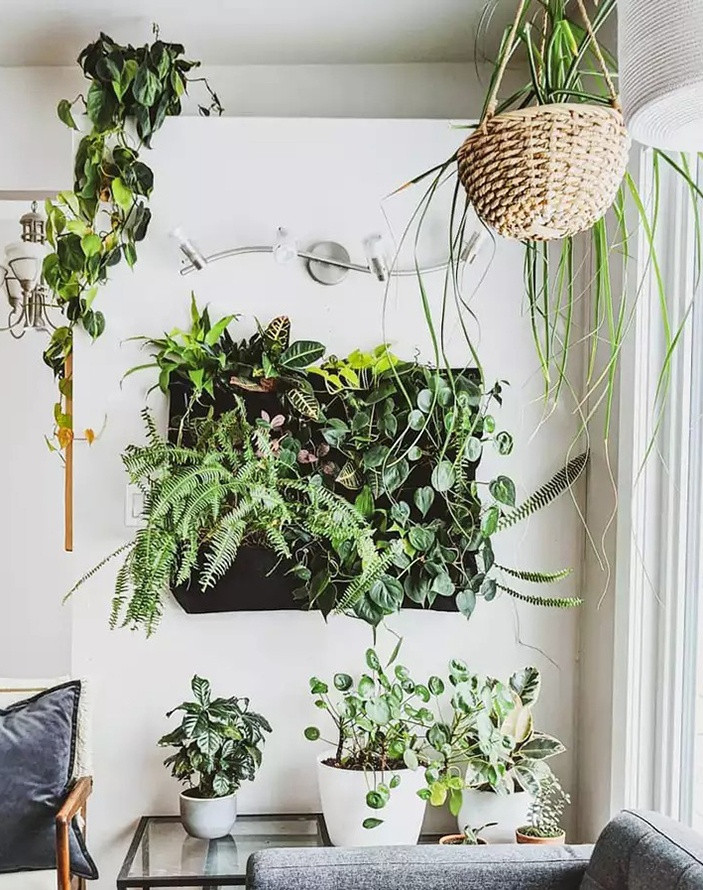 8 kieu trang tri nha de gay hoi han-Hinh-4