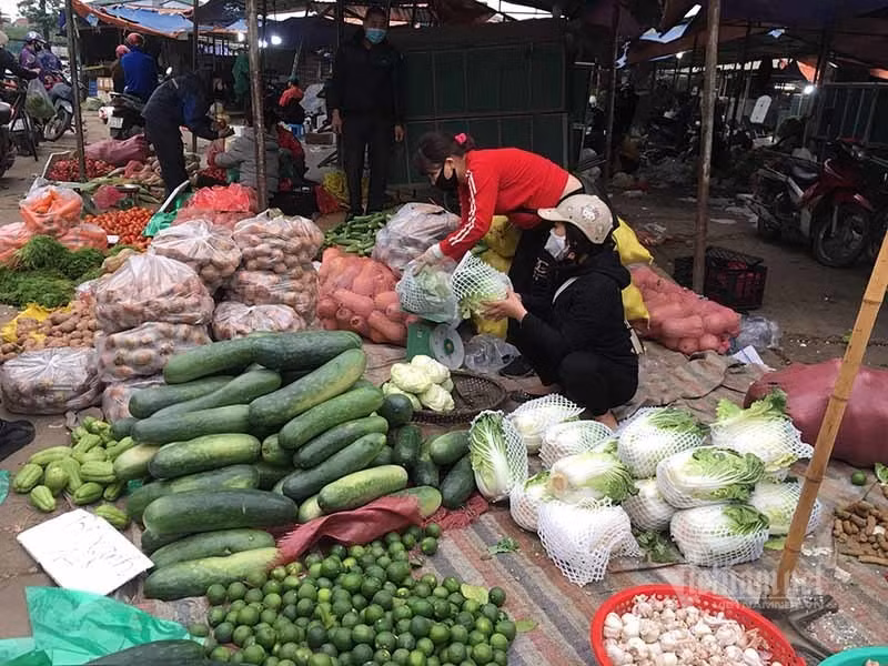 Giat minh voi chat luong rau xanh o cho va sieu thi