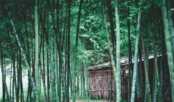 Tre moc ben mo nhat dinh phai doi mo, hai thu truoc mo moi giau