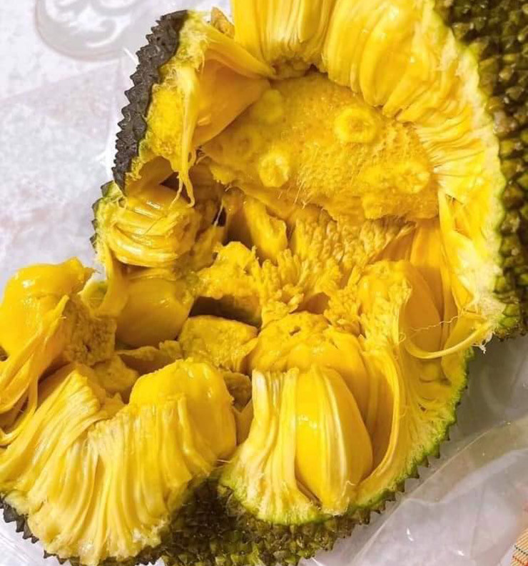 Mấy năm gần đây, mít mật bỗng được "săn lùng" ở thành phố.