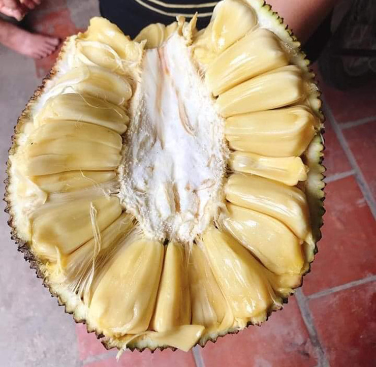 Mít mật bóc sẵn cho tủ lạnh, ăn vừa mát vừa ngọt, lại không nóng như mít dai nên rất hấp dẫn.