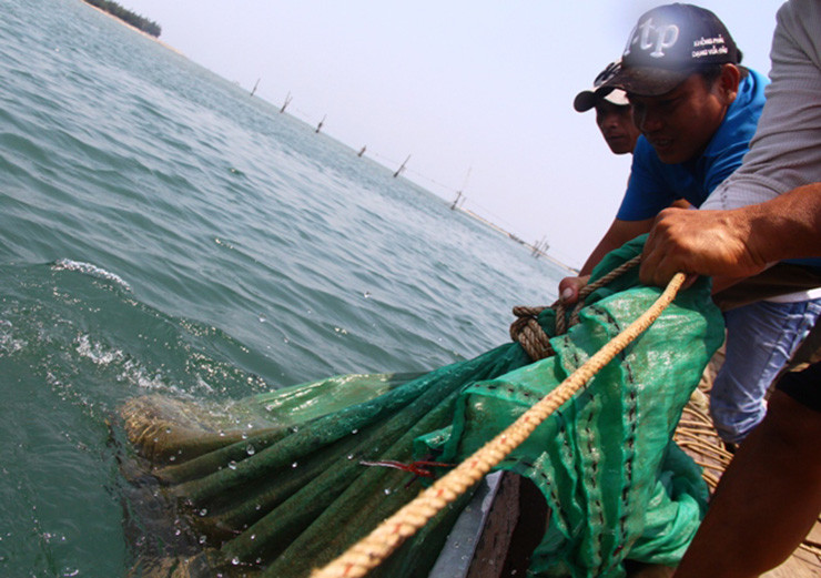 Từ loại cá không ai ngó ngàng, giờ đây cá rò đã trở thành thứ đặc sản mang lại nguồn thu nhập cho người dân xứ Huế.