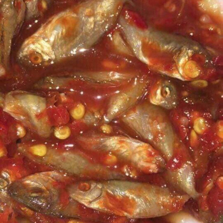 Ngày xưa mắm cá rò chỉ xuất hiện trên mâm cơm của người dân xứ Huế nhưng nhờ giao thương qua lại giữa các vùng mà mắm cá rò càng ngày càng nổi tiếng.