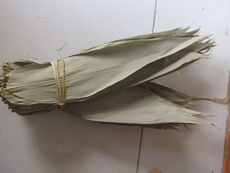 Trước đây, người ta dùng thân tre để làm hàng rào, làm nhà, làm bếp, làm lạt gói bánh, còn lá sẽ bỏ đi, rụng đầy gốc. Giờ đây, các thương lái thu gom lá tre xuất khẩu sang Đài Loan với giá 10.000 đồng/kg lá tre tươi và 40.000 đồng/kg lá tre khô.