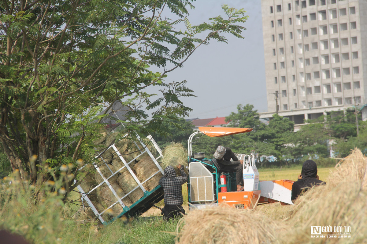 Hơn nữa những người thợ gom rơm buổi tối phải ngủ luôn ngoài đồng để canh máy. Ăn uống thì chúng tôi chủ yếu gọi ship đến ăn luôn ngoài ruộng. Công việc này khá vất vả nhưng mỗi năm chỉ có 2 mùa vụ. Và mỗi mùa vụ như vậy chỉ kéo dài được 1 tháng nên đòi hỏi các công nhân phải làm hết công suất", anh Hoan cho biết thêm.
