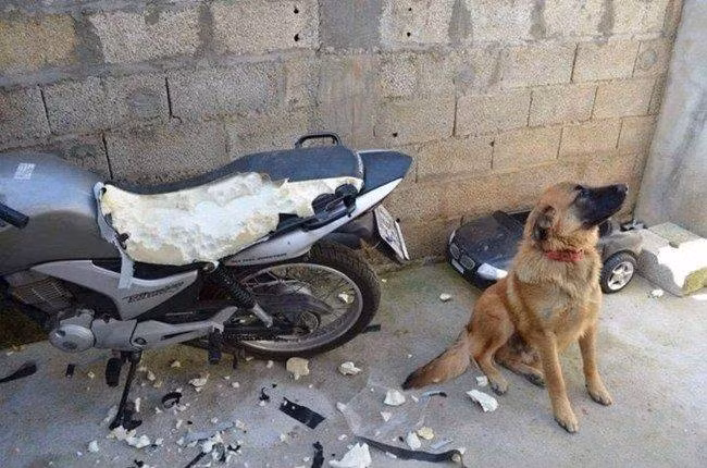 Mặt ngây thơ vô số tội.