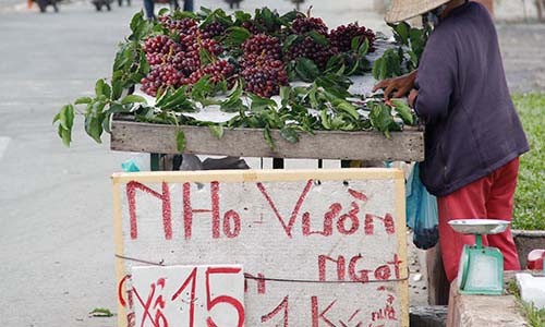 Nho Trung Quốc được người bán rong gắn mác nho vườn ở Ninh Thuận bán với giá 20.000-30.000 đồng/kg Ảnh: Lương Sơn.