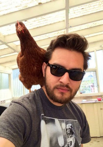 Chụp chưa ông chủ?