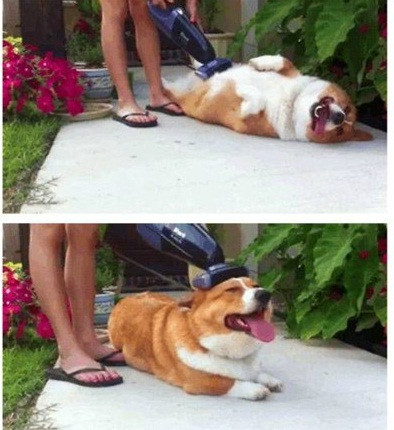 Chỗ nào cũng thích.