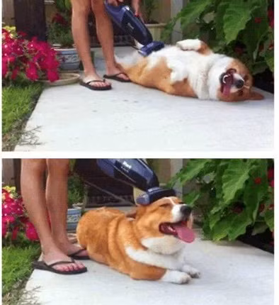 Chỗ nào cũng thích.